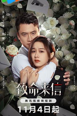 保定专业seo智能优化